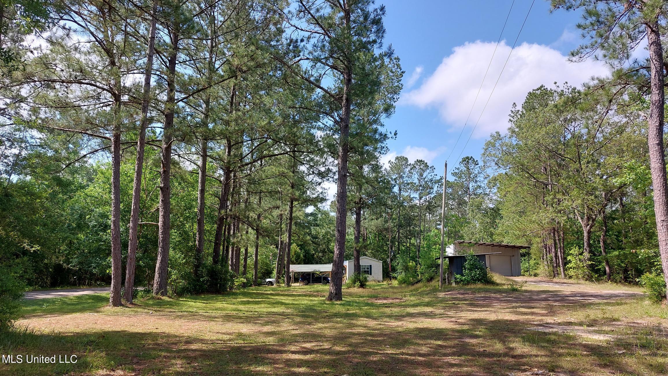227 Go Go Road Poplarville, MS 39470 - Photo 21 of 23 20220505_101311
