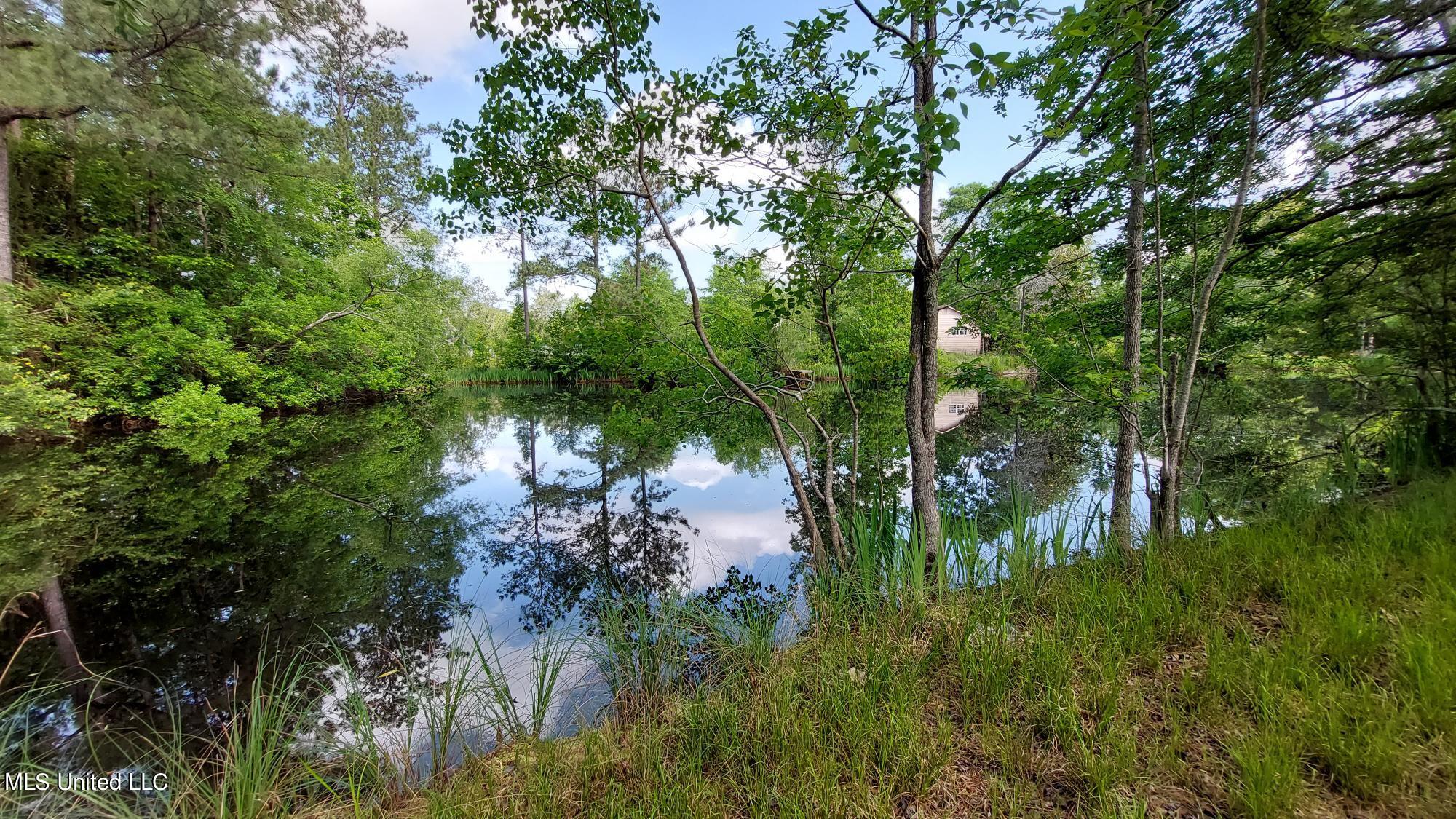 227 Go Go Road Poplarville, MS 39470 - Photo 22 of 23 20220505_101740