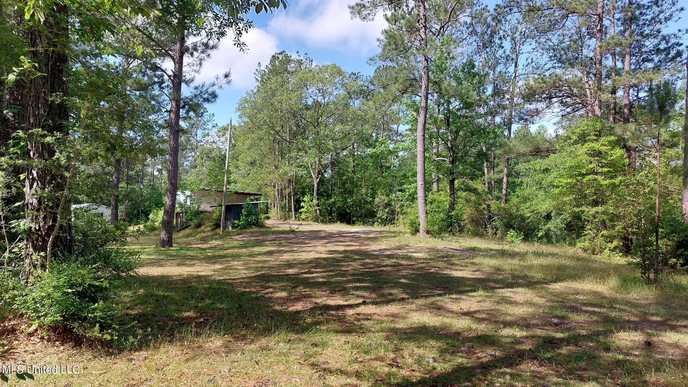 227 Go Go Road Poplarville, MS 39470 - Photo 23 of 23 20220505_101243