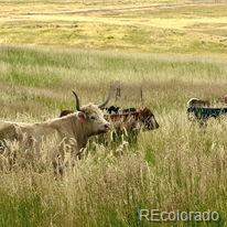 Lot 4 Wildstone Ranch Elbert, CO 80106 - Photo 21 of 42 a view of ocean view