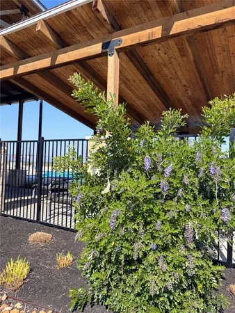 a house view with a backyard space