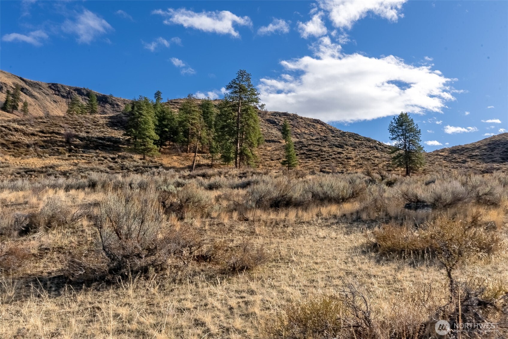 48 Thurlow Road Twisp, WA 98856 - Photo 37 of 40 a view of a dry yard with lots of bushes