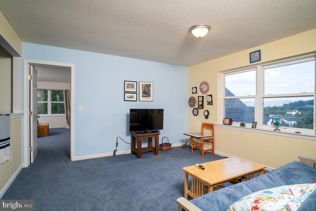 190 Ridgemore Drive Raphine, VA 24472 - Photo 22 of 95 Gallery Image 22