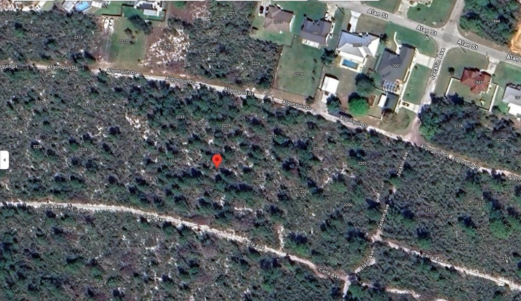 2212 Carla Avenue Sebring, FL 33875 - Photo 1 of 1 a backyard of a house with lots of green space