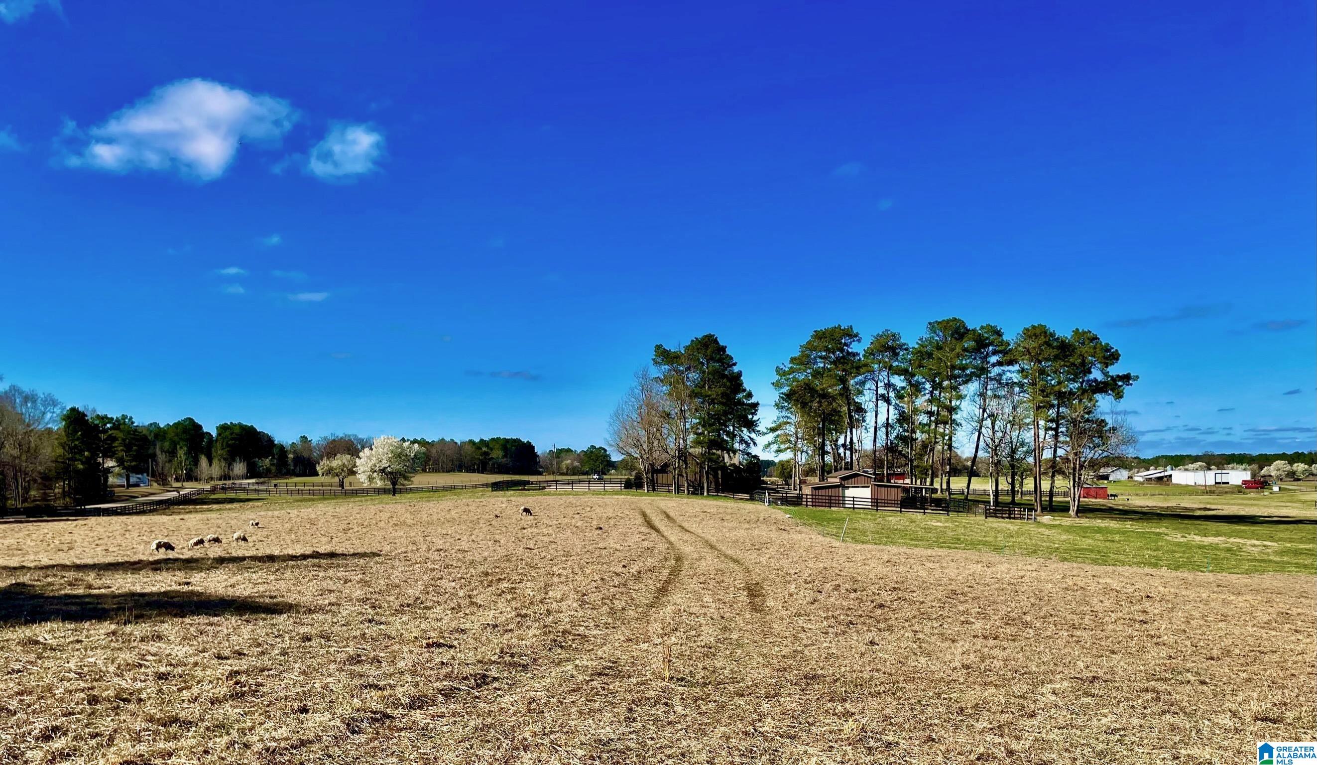 1396 Sun Valley Road Harpersville, AL 35078 - Photo 71 of 82