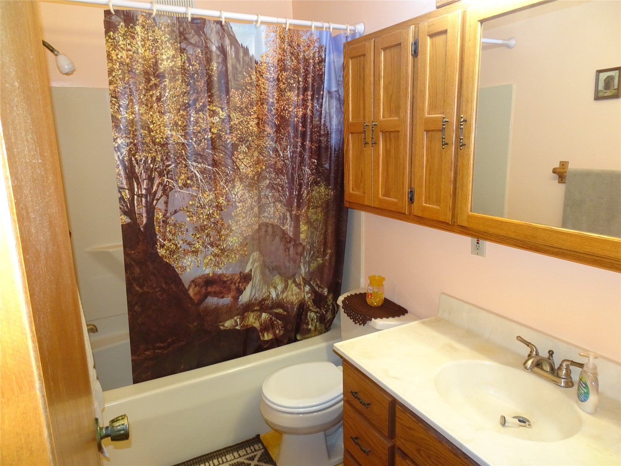 1293 Highway 48 Luck, WI 54853 - Photo 14 of 17 Gallery Image 14