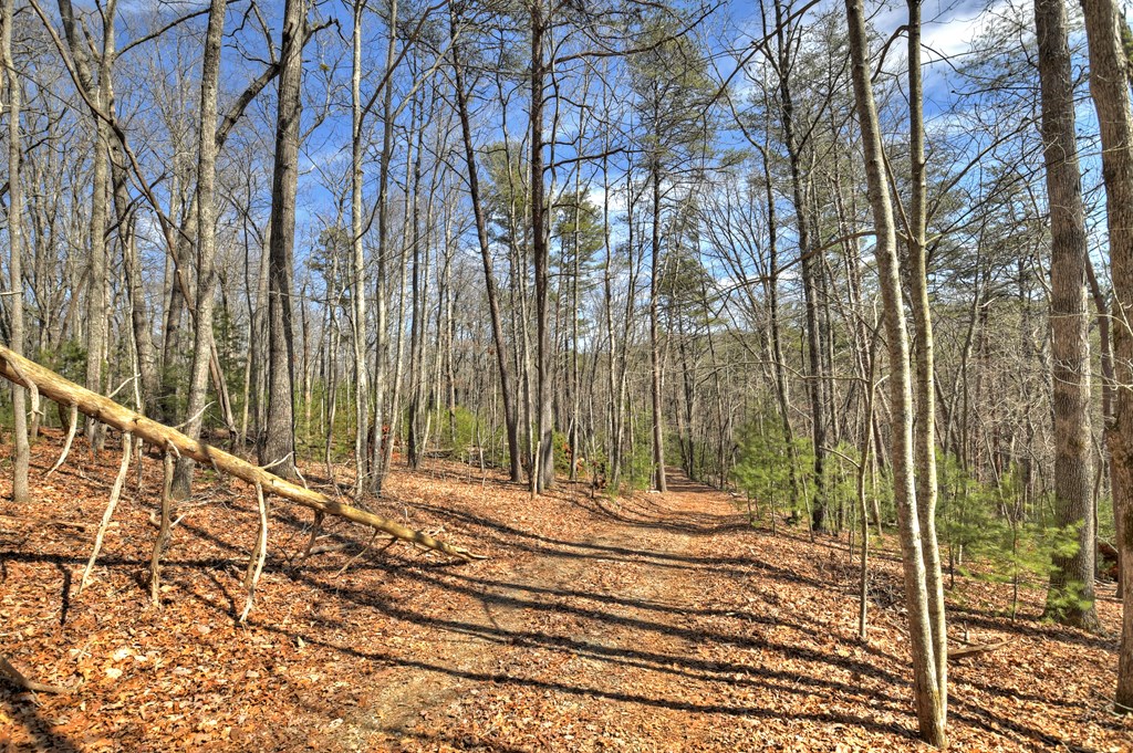 331 Chestnut Gap Road Blue Ridge, GA 30513 - Photo 33 of 44 a view of a pathway with a yard