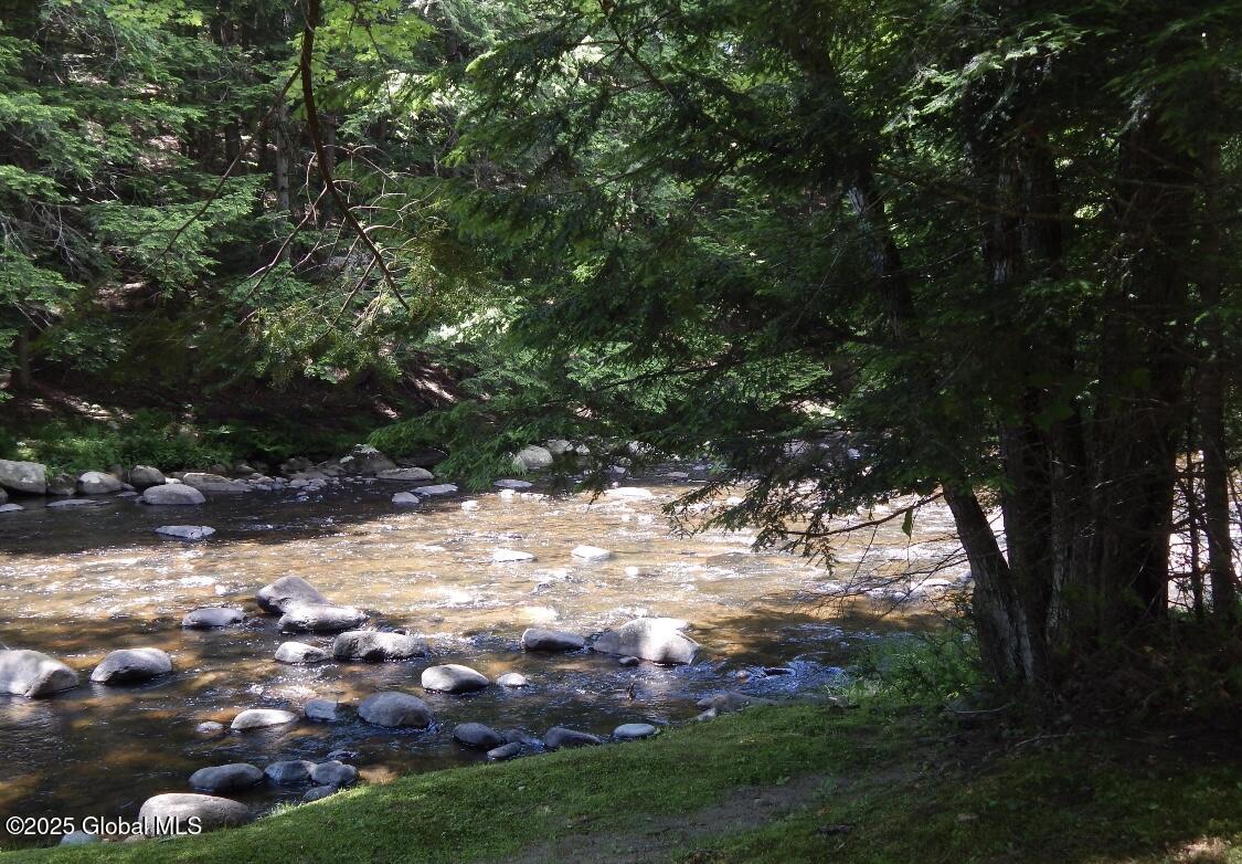 501 Harrington Road Johnsburg, NY 12886 - Photo 17 of 17 IMG_8649