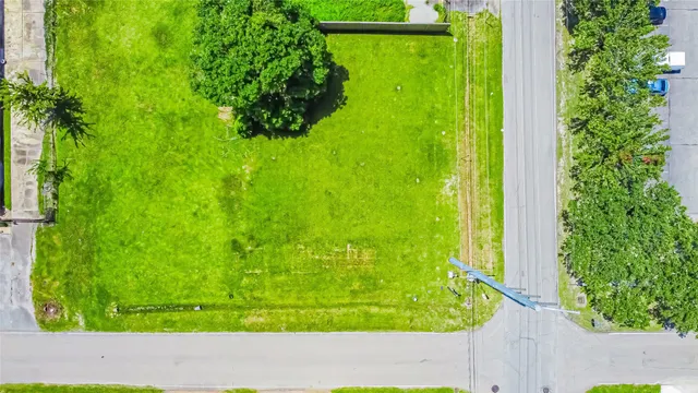 a black and white photo of a garden