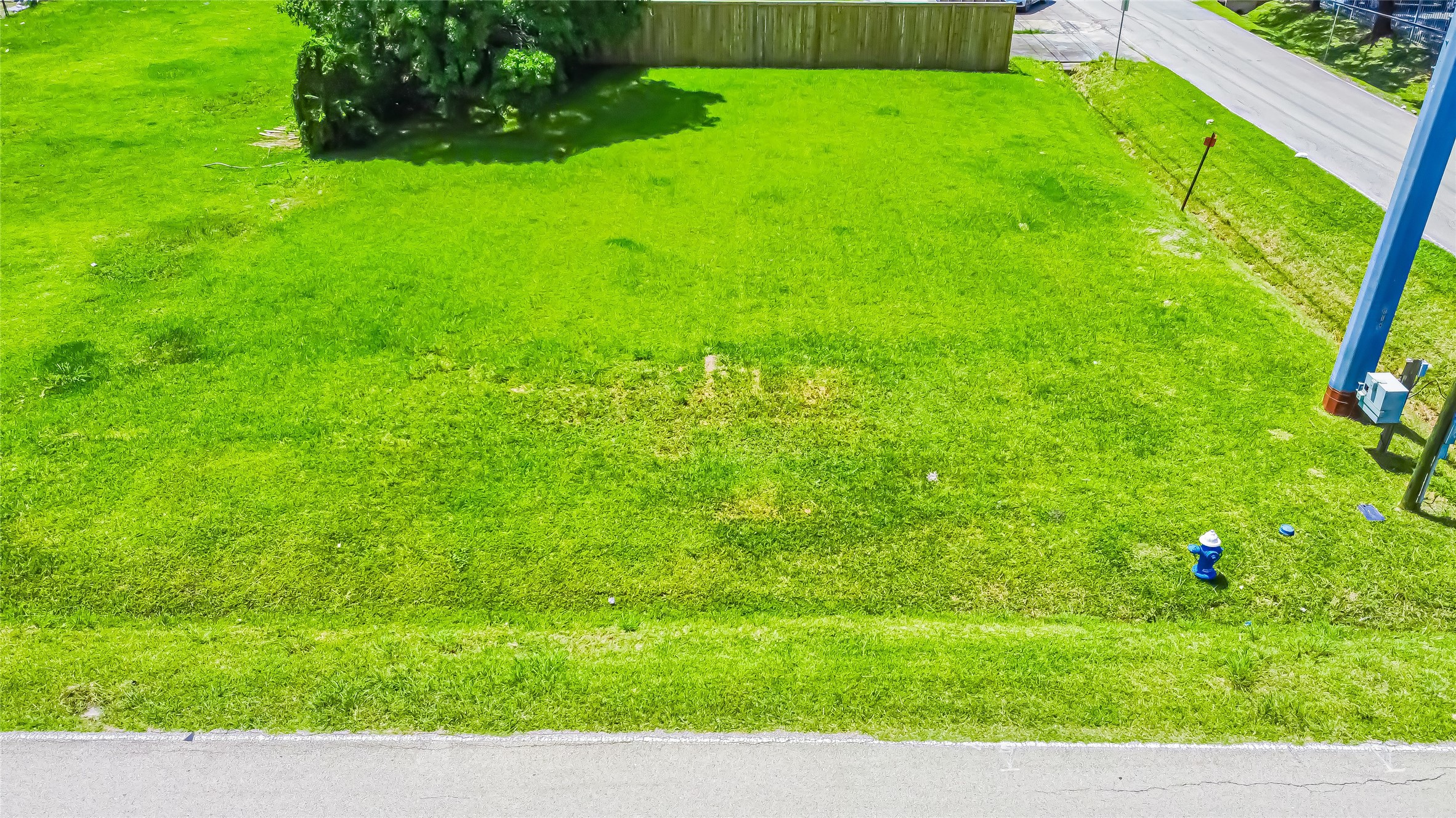 3003 Bering Drive Houston, TX 77057 - Photo 4 of 4 a view of a backyard with a garden