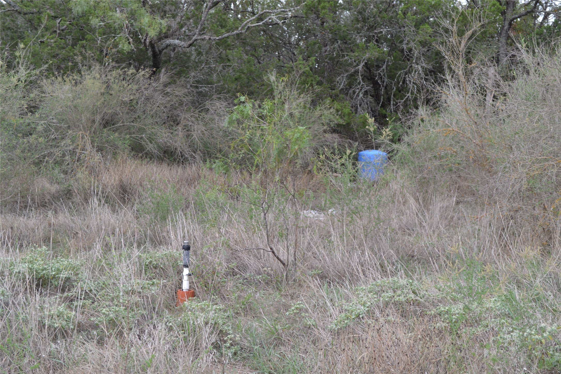 0 Ranch Road 2241 Tow, TX 78672 - Photo 12 of 33