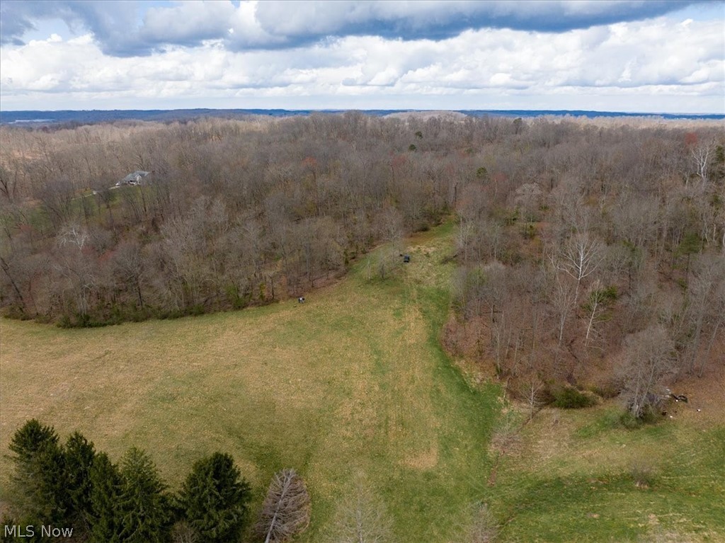 0 Smitherman Road Washington, WV 26181 - Photo 10 of 34 Scene 3