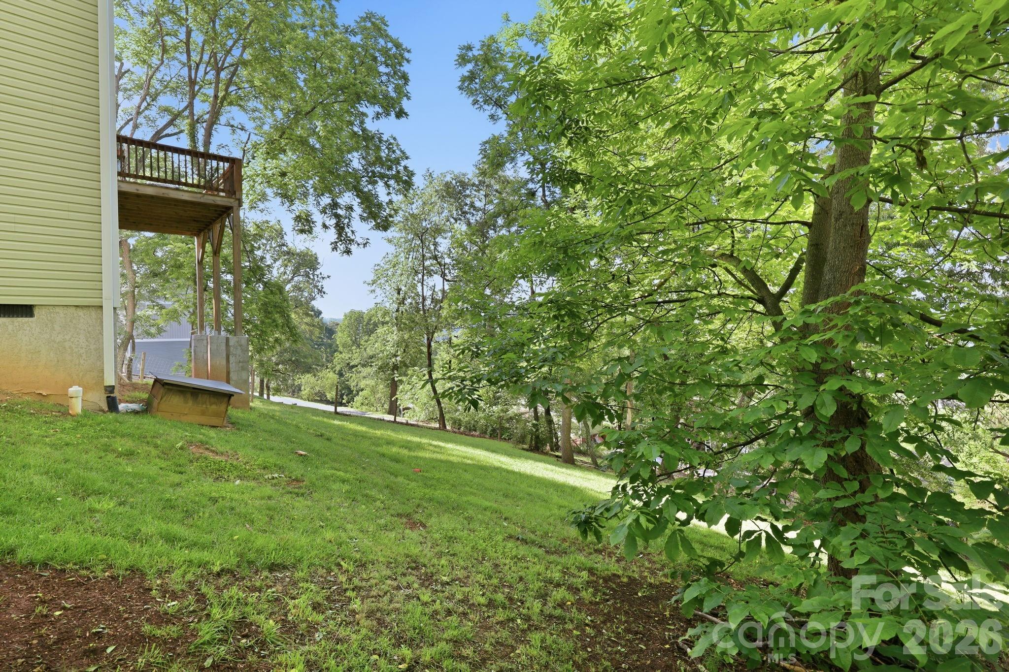 239 Northside Street Canton, NC 28716 - Photo 44 of 47
