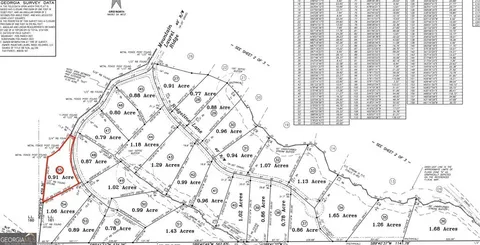 $175,000 | Lot 55 Mountain Laurel Ridge, Unit 55, Mineral Bluff, GA 30559