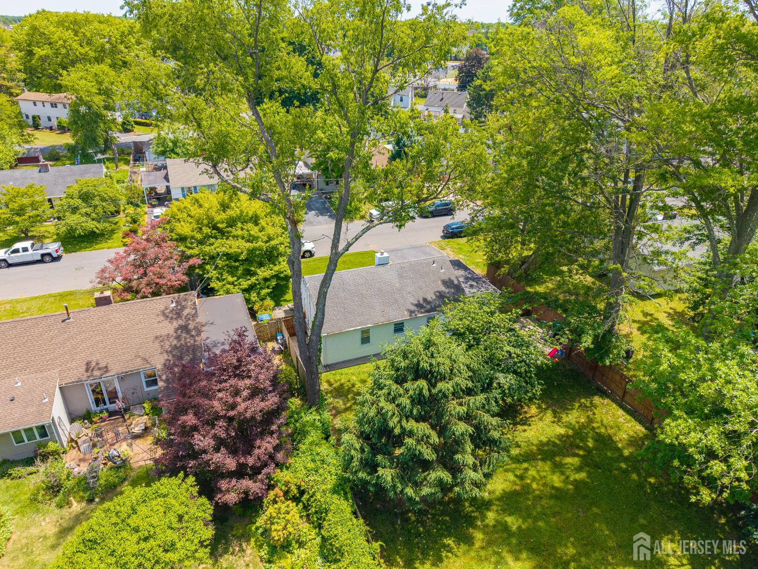 12 Pierrepont Avenue Middlesex, NJ 08846 - Photo 28 of 30 a view of a garden