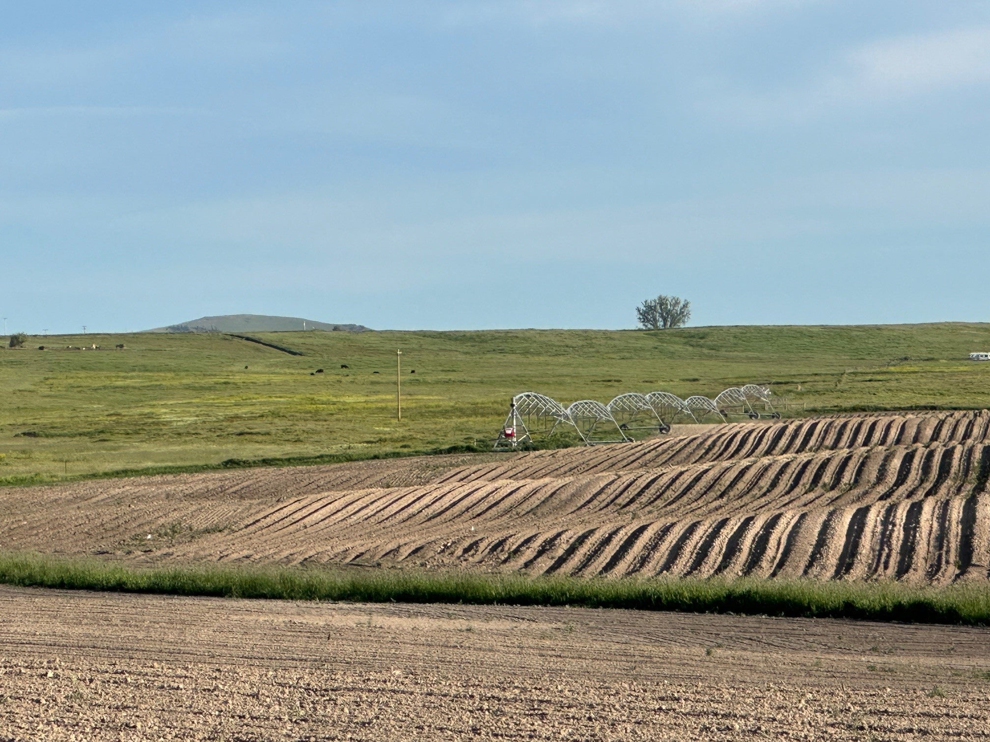 46471 Valley View Road Ronan, MT 59864 - Photo 7 of 53 Gallery Image 7