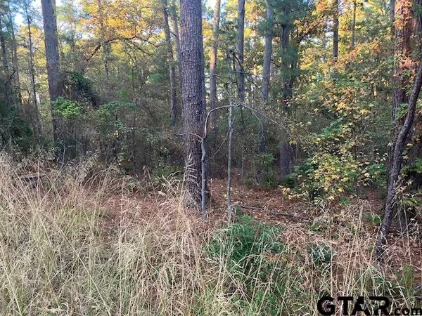 $35,000 | 1657 Pineview Lane, Hideaway, TX 75771