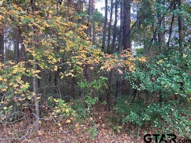 a backyard of a house with lots of green space and garden view