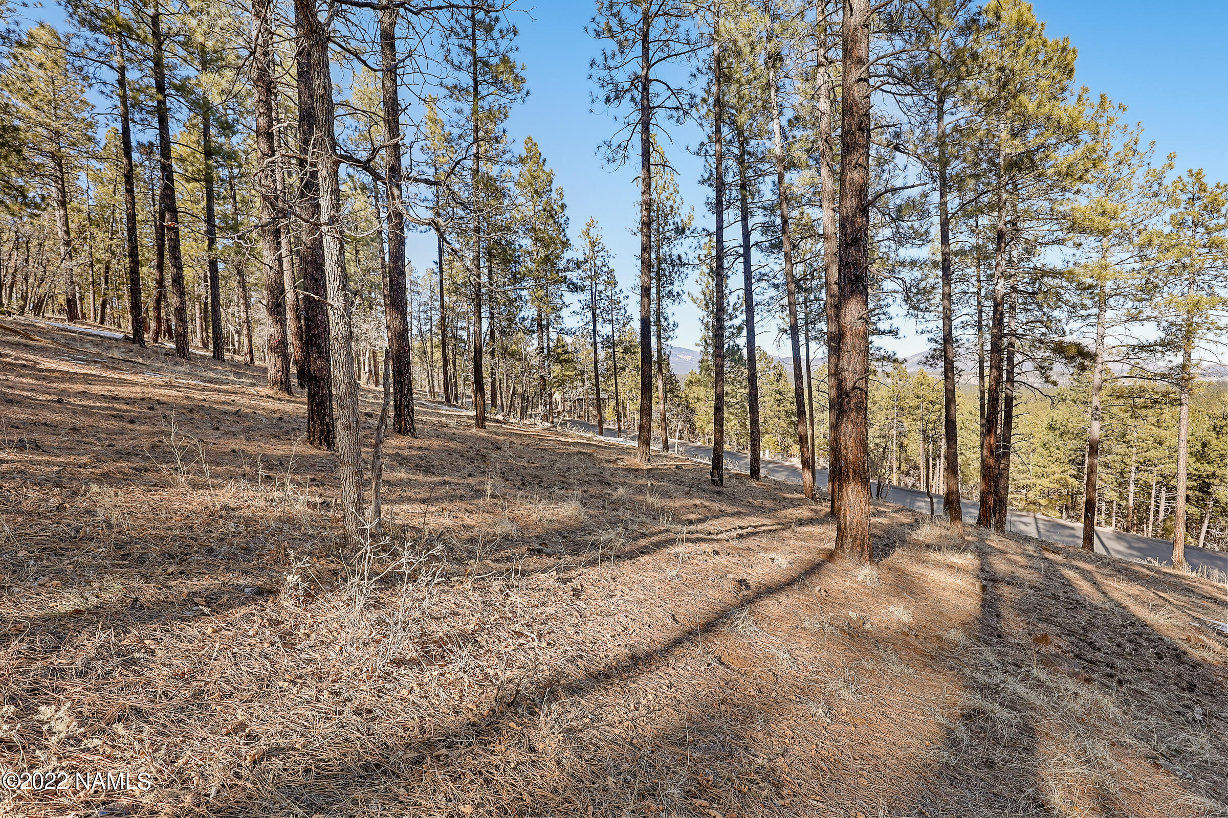 4505 South Flagstaff Ranch Road, Unit 134 Flagstaff, AZ 86005 - Photo 6 of 13 4505 S Flagstaff Ranch Rd