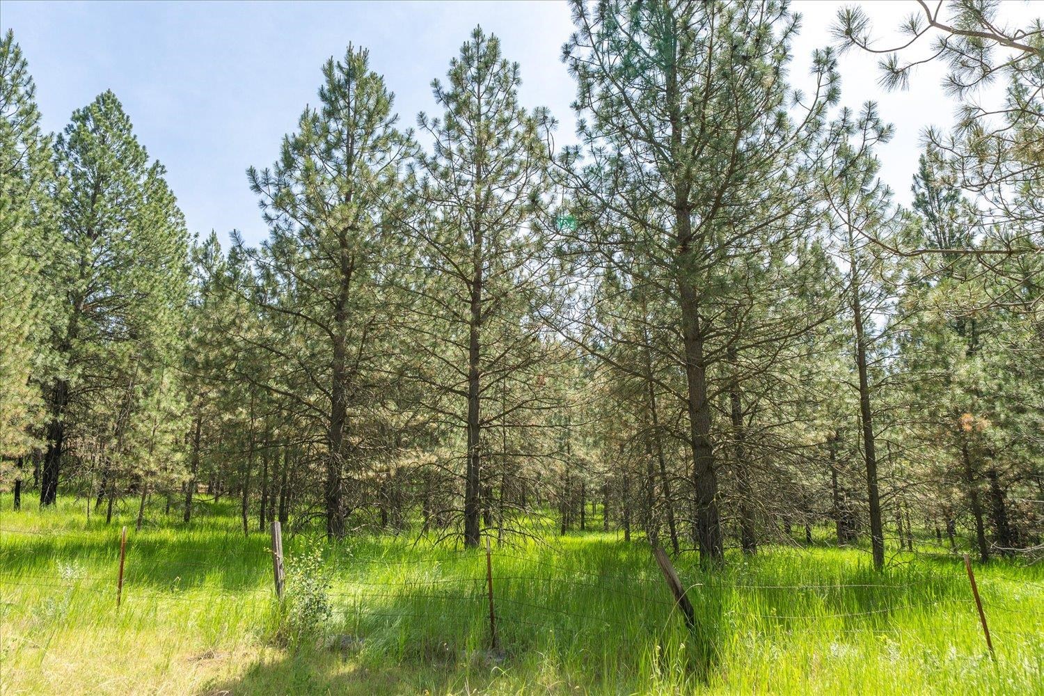 2806 South Park Road Spokane, WA 99212 - Photo 37 of 50