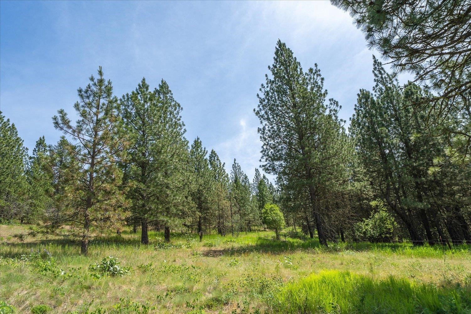 2806 South Park Road Spokane, WA 99212 - Photo 38 of 50