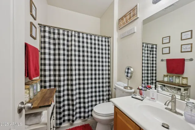a bathroom with a sink toilet vanity and shower