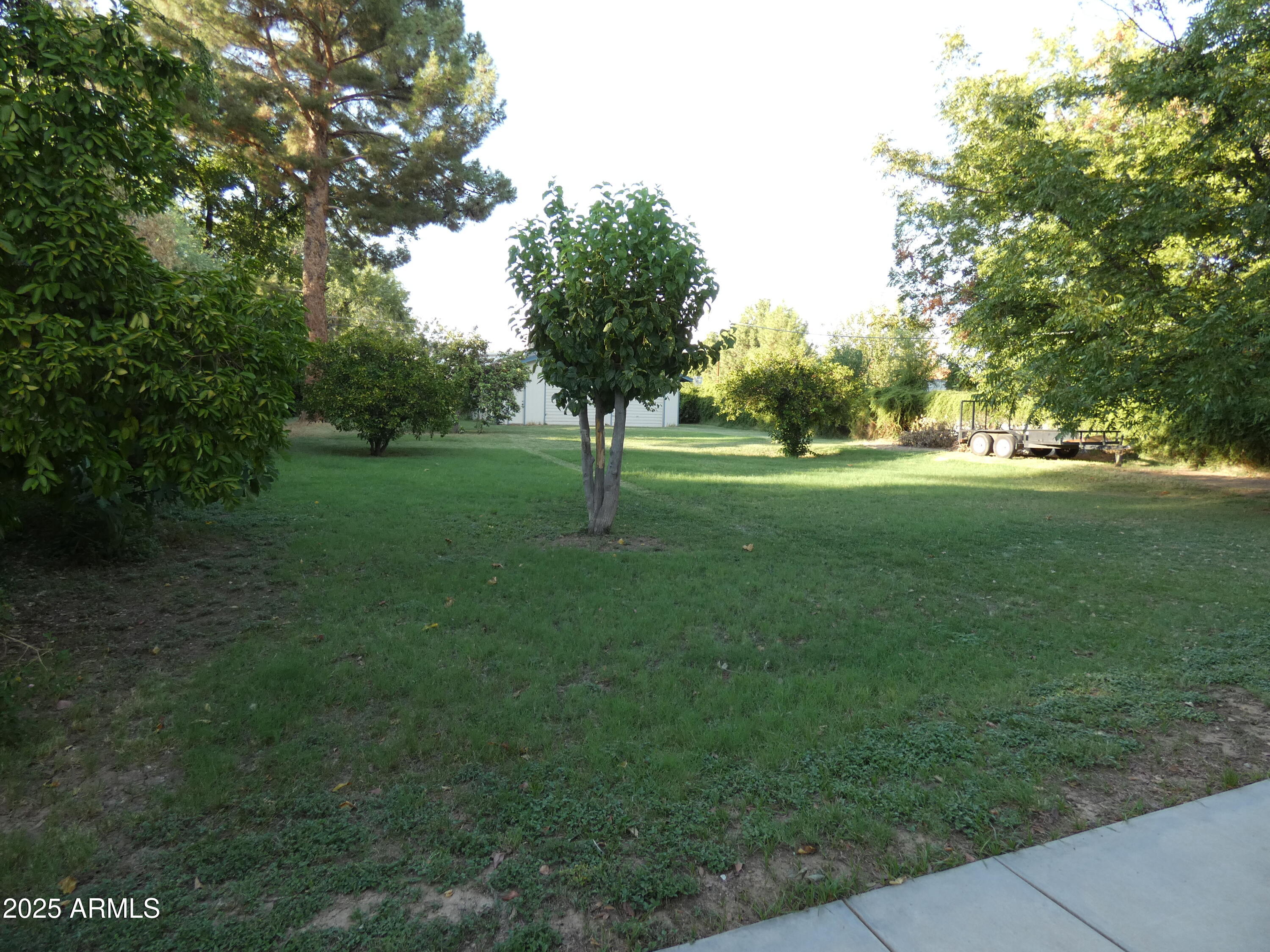 3214 West State Avenue Phoenix, AZ 85051 - Photo 35 of 35 a view of a trees with a yard