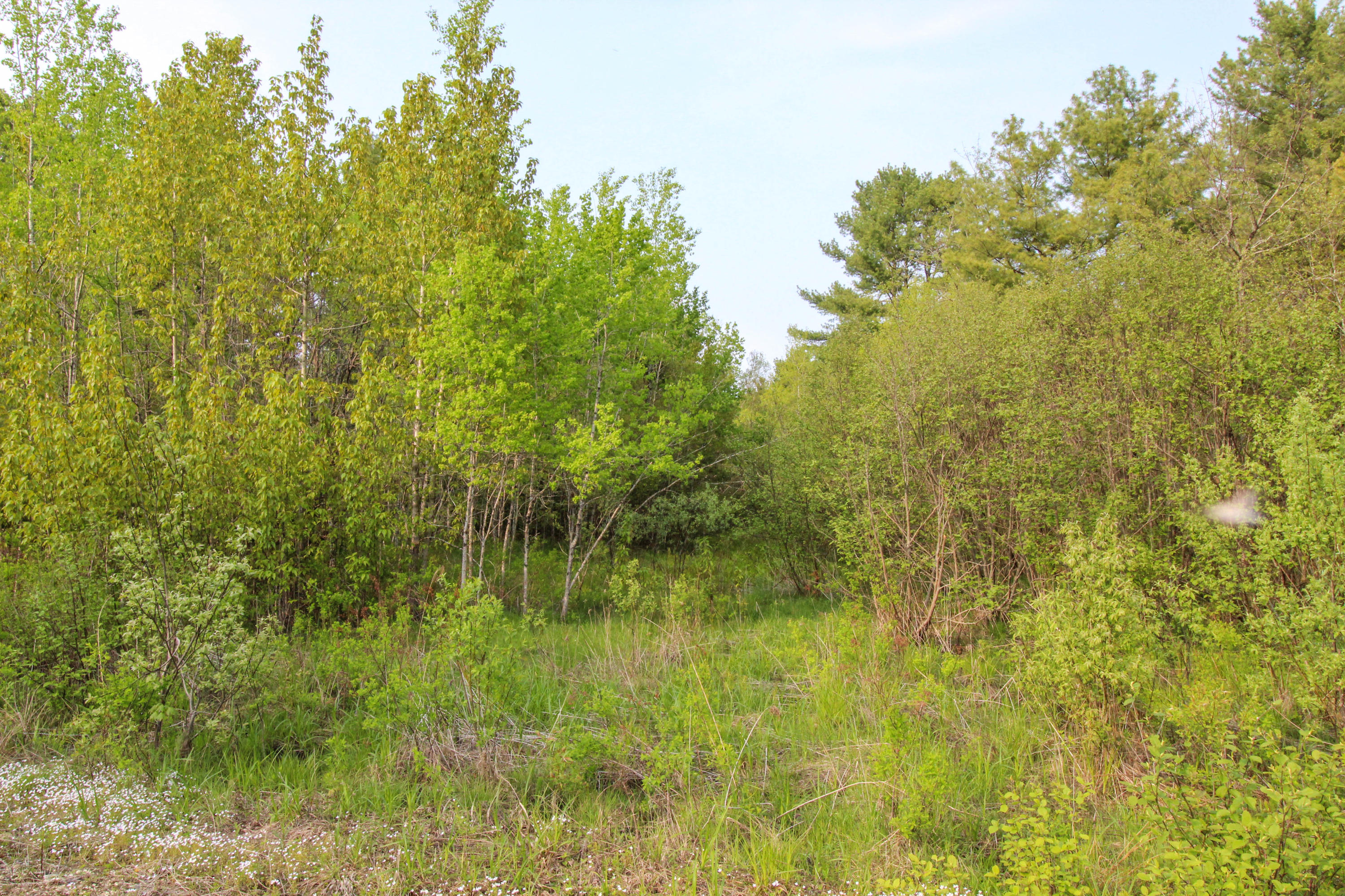 5-8 Boggy Brook Road Ellsworth, ME 04605 - Photo 15 of 28 Interior of Lot 8