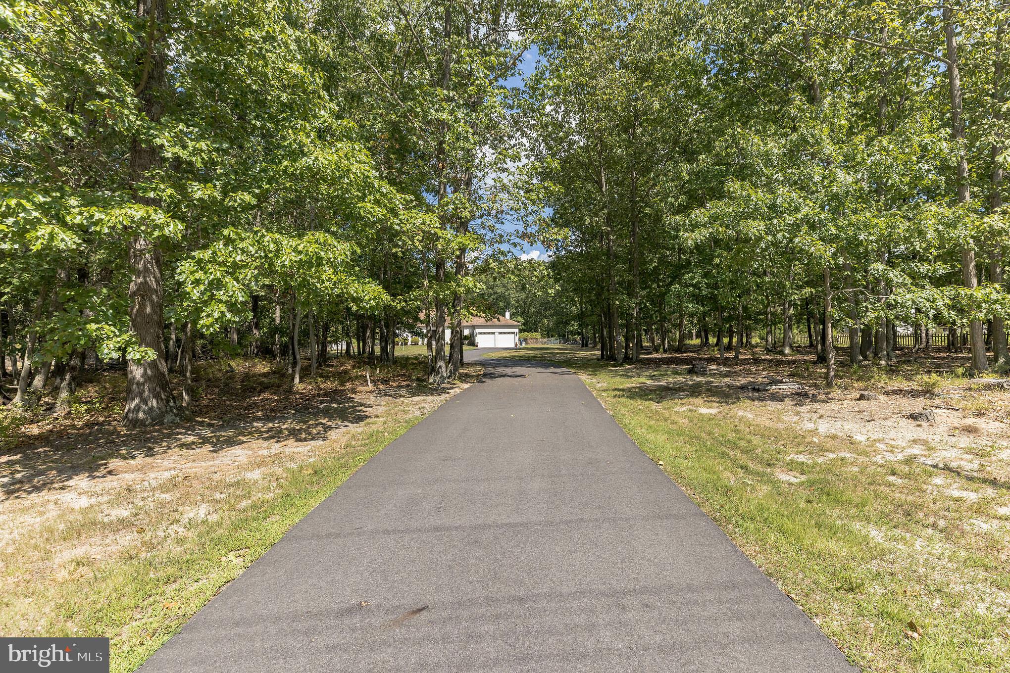 853 Jackson Road Mays Landing, NJ 08330 - Photo 5 of 59