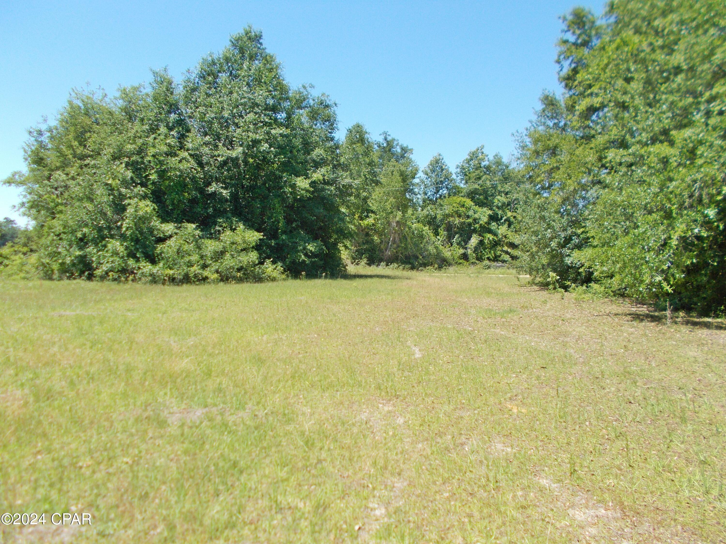1-ac Melon Lane Grand Ridge, FL 32442 - Photo 3 of 4
