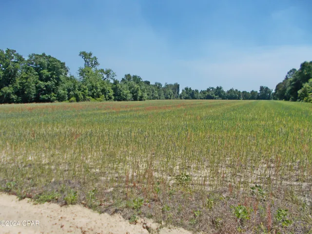 $30,000 | 1-ac Melon Lane, Grand Ridge, FL 32442