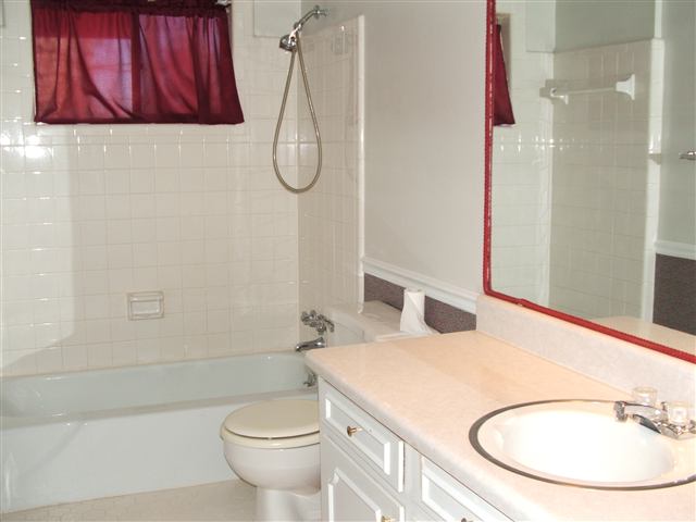 201 Ravensworth Road Taylors, SC 29687 - Photo 15 of 17 Gallery Image 15