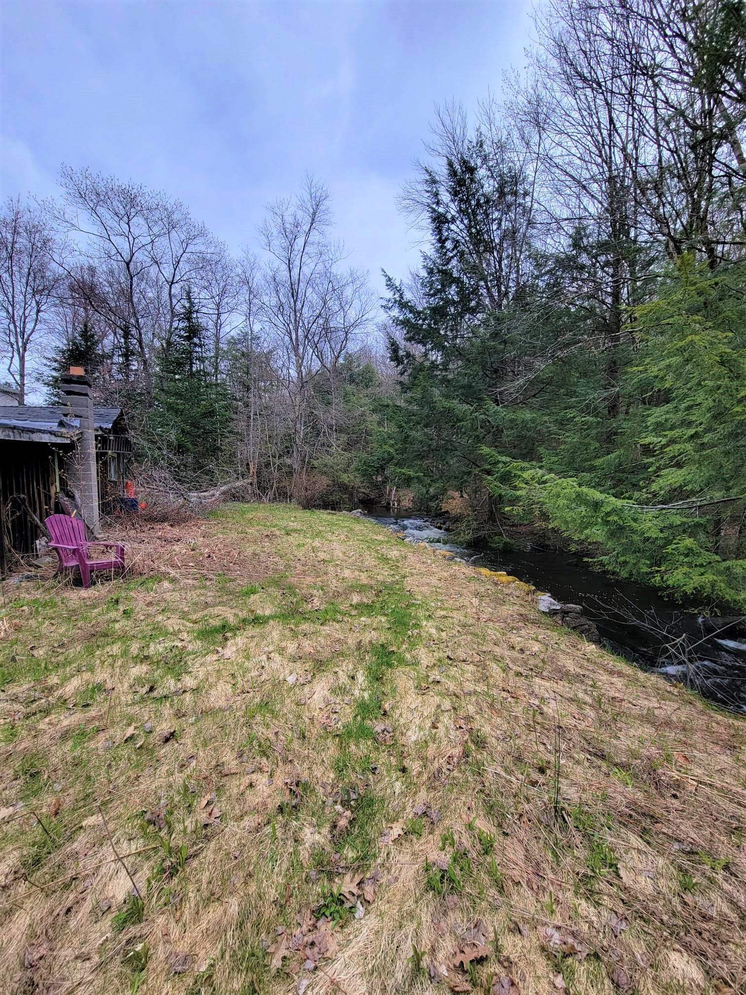 362 Chesham Road Harrisville, NH 03450 - Photo 3 of 12