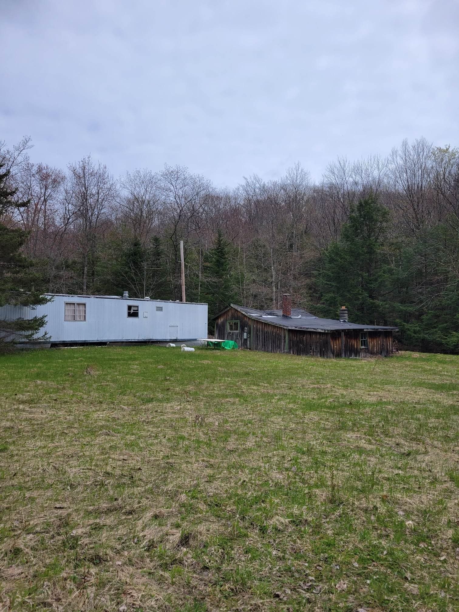 362 Chesham Road Harrisville, NH 03450 - Photo 6 of 12