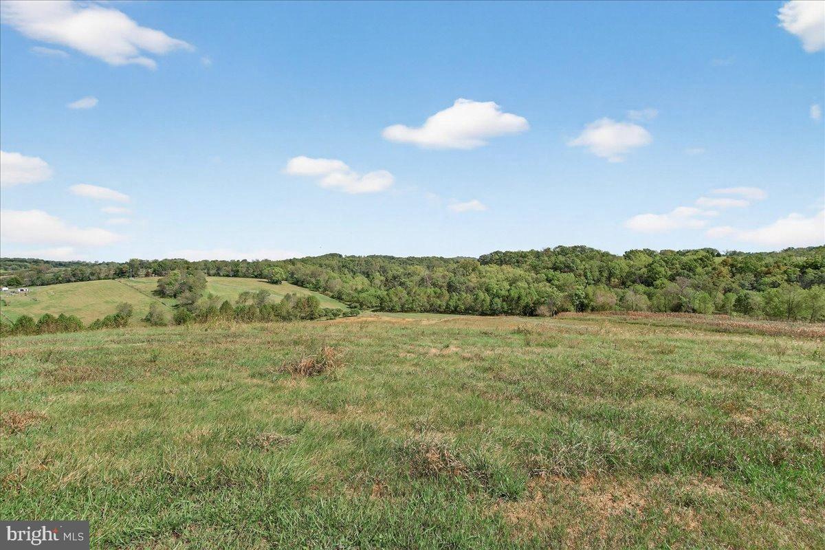 8710 Dollyhyde Road Union Bridge, MD 21791 - Photo 81 of 92