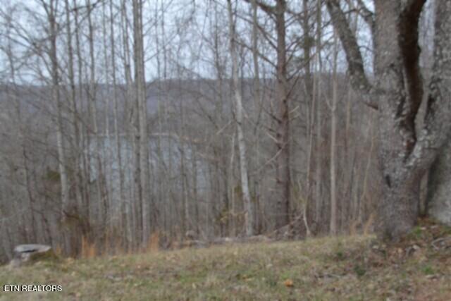 4-5 Fox Hill Road Baxter, TN 38544 - Photo 13 of 32 DSC_0017