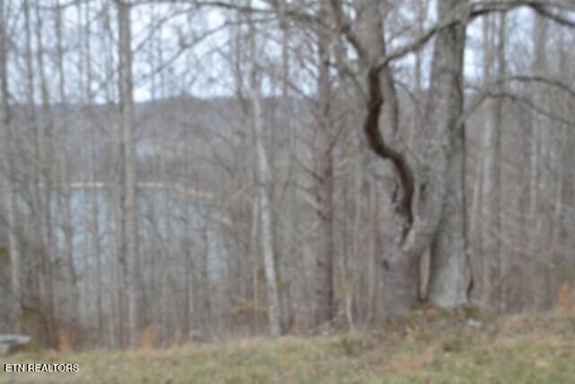 4-5 Fox Hill Road Baxter, TN 38544 - Photo 14 of 32 DSC_0020