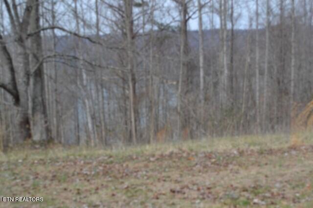 4-5 Fox Hill Road Baxter, TN 38544 - Photo 17 of 32 DSC_0023