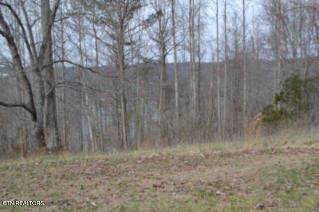 4-5 Fox Hill Road Baxter, TN 38544 - Photo 18 of 32 DSC_0024