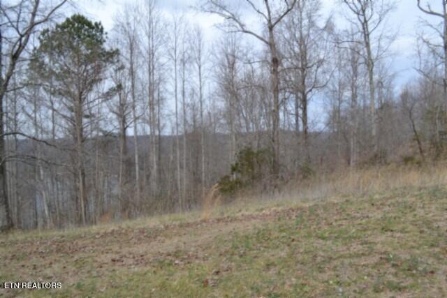 4-5 Fox Hill Road Baxter, TN 38544 - Photo 20 of 32 DSC_0026