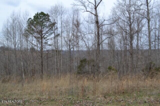 4-5 Fox Hill Road Baxter, TN 38544 - Photo 6 of 32 DSC_0008