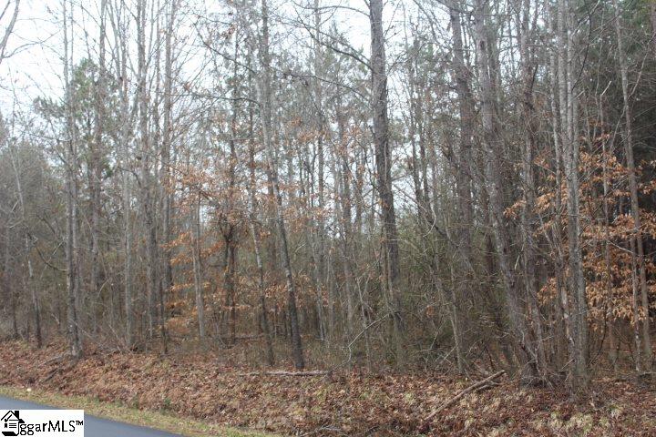0 North Old Mill Road Travelers Rest, SC 29690 - Photo 1 of 4