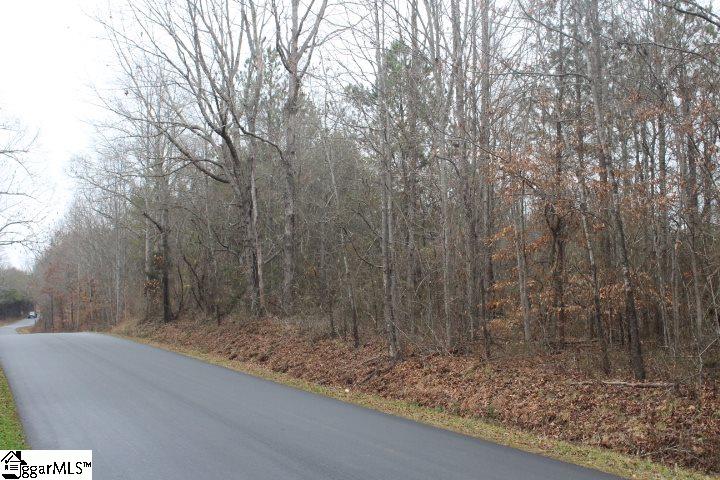 0 North Old Mill Road Travelers Rest, SC 29690 - Photo 2 of 4