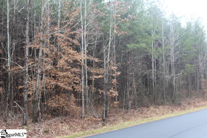 0 North Old Mill Road Travelers Rest, SC 29690 - Photo 3 of 4