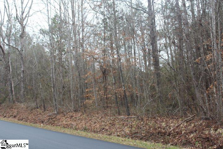 0 North Old Mill Road Travelers Rest, SC 29690 - Photo 4 of 4