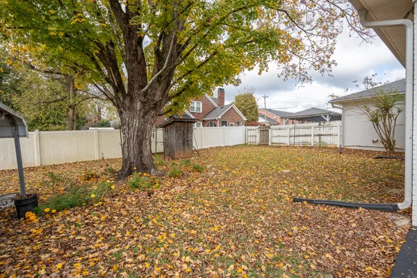 a view of a yard with large trees