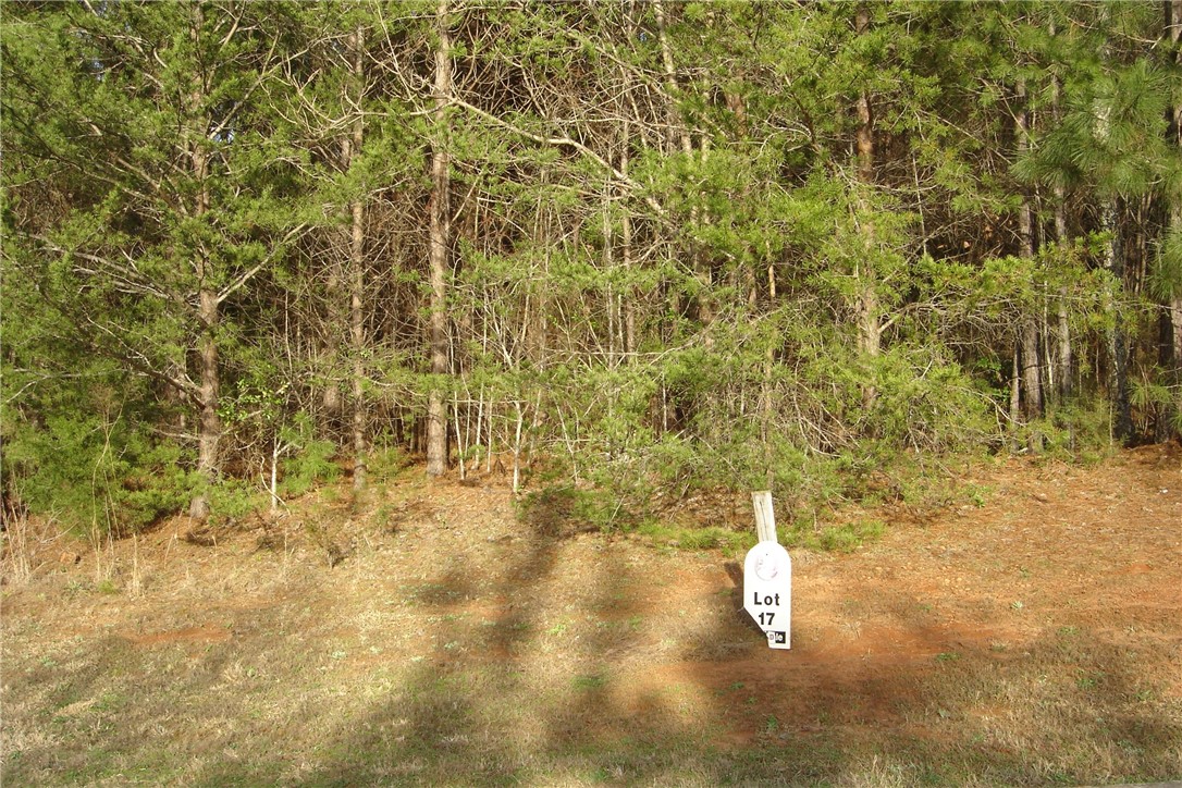503 Shooting Star Way Seneca, SC 29672 - Photo 2 of 15 Lot #17.