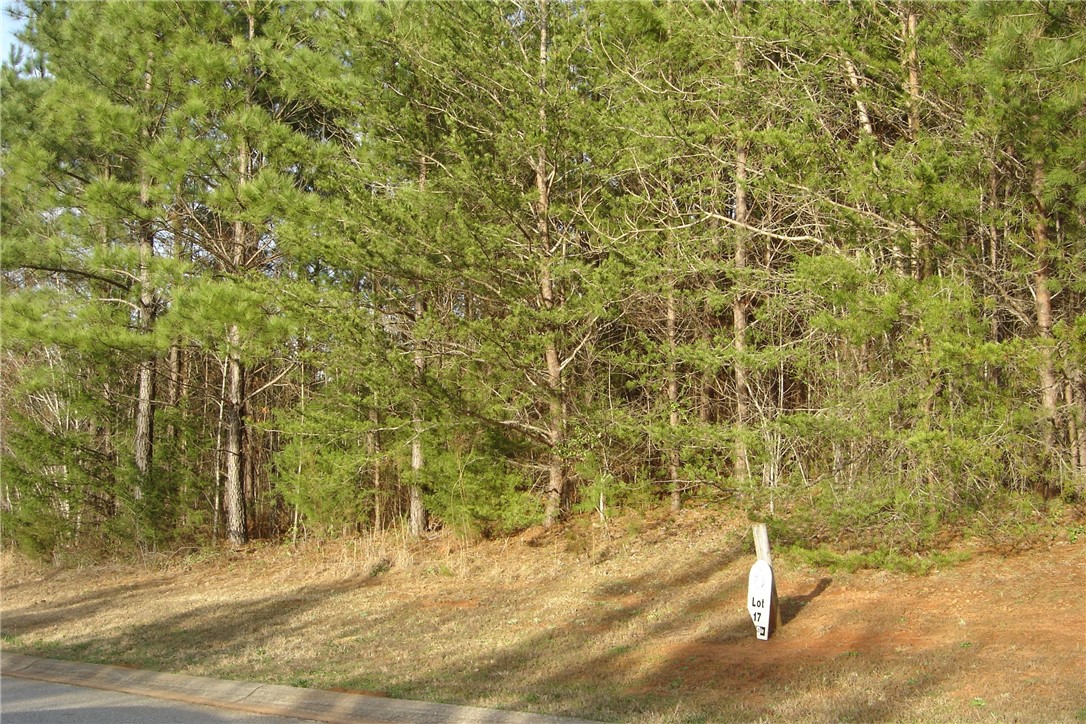 503 Shooting Star Way Seneca, SC 29672 - Photo 3 of 15 Gallery Image 3