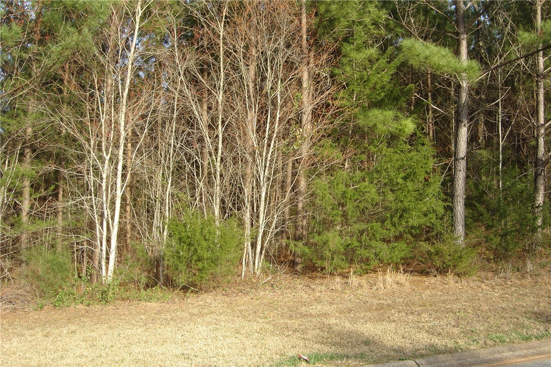 503 Shooting Star Way Seneca, SC 29672 - Photo 4 of 15 Gallery Image 4