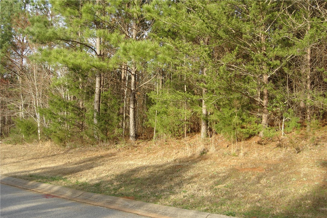 503 Shooting Star Way Seneca, SC 29672 - Photo 5 of 15 Gallery Image 5